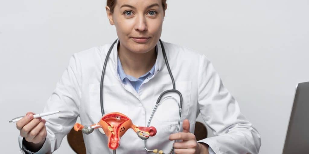 Foto de m&eacute;dica segurando modelo 3d de &uacute;tero.