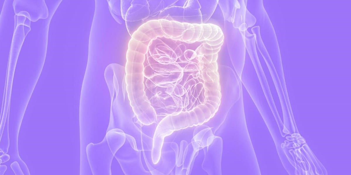 doen&ccedil;as inflamat&oacute;rias intestinais