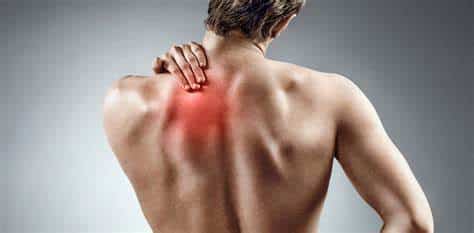 p&oacute;s-gradua&ccedil;&atilde;o em medicina regenerativa