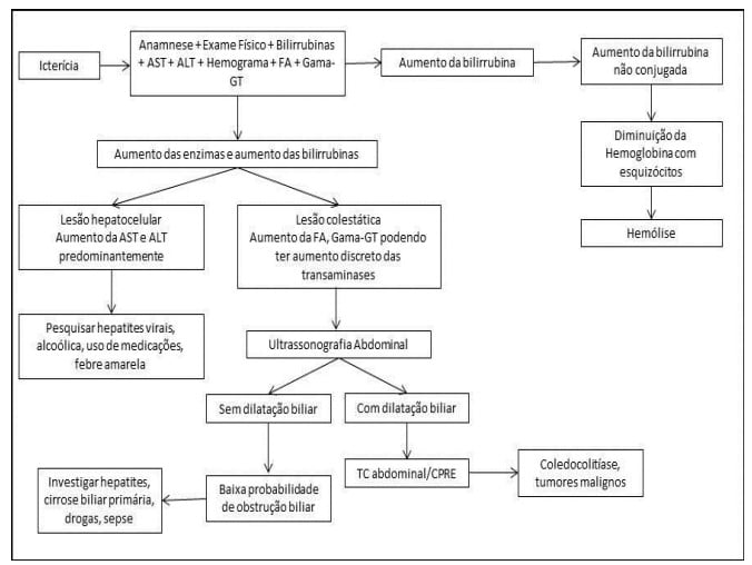 Fluxograma diagn&oacute;stico da icter&iacute;cia. Inicia com a identifica&ccedil;&atilde;o da icter&iacute;cia, seguida de anamnese, exame f&iacute;sico e exames laboratoriais (bilirrubinas, AST, ALT, hemograma, FA, gama-GT).