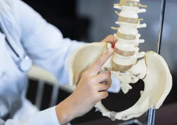 p&oacute;s-gradua&ccedil;&atilde;o-em-endoscopia-da-coluna-anatomia.convertido