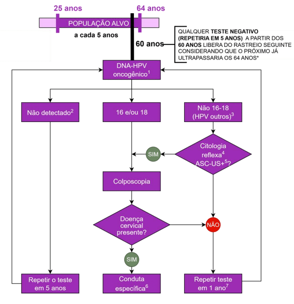 Fluxograma do rastreamento do c&acirc;ncer do colo do &uacute;tero no Brasil, mostrando a conduta a partir da detec&ccedil;&atilde;o de HPV oncog&ecirc;nico e os pr&oacute;ximos passos de acompanhamento.